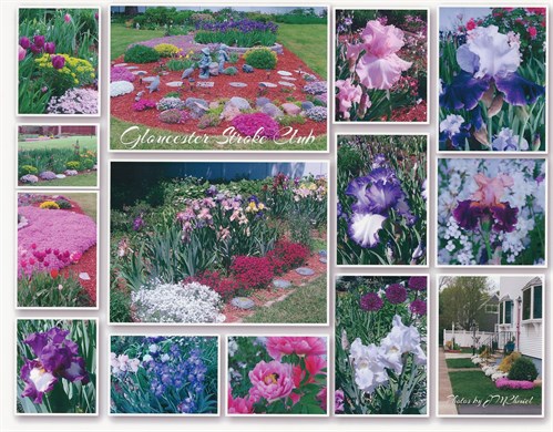 Survivorship Garden