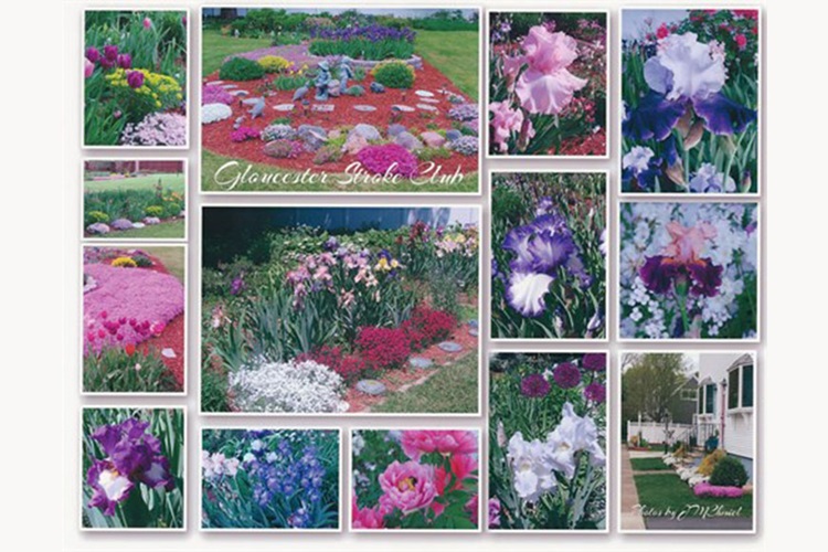 Stroke Survivorship Garden